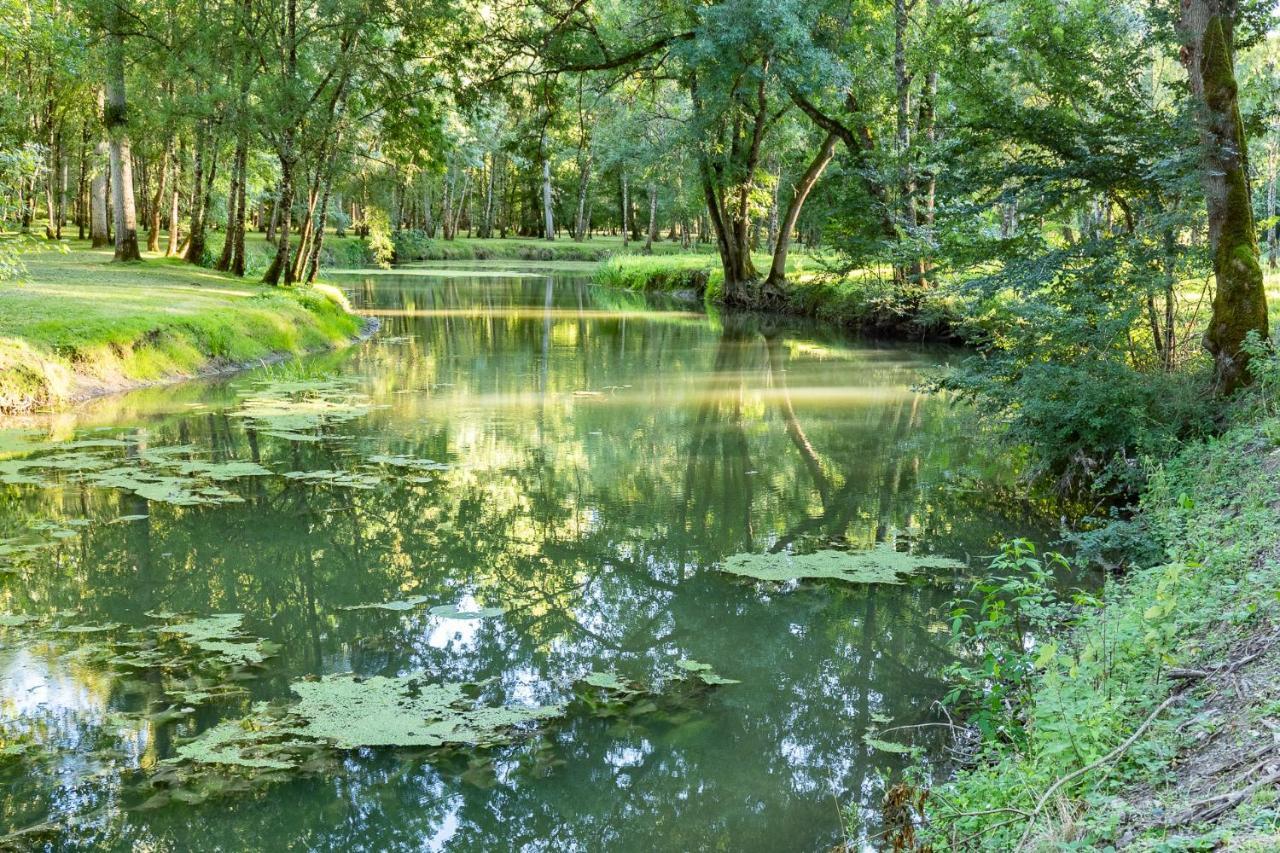مبيت وإفطار La Vernelle Manoir Du Val Fouzon - Beauval المظهر الخارجي الصورة