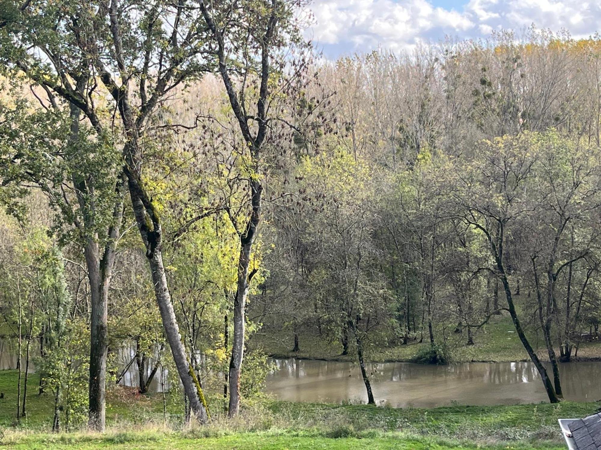 مبيت وإفطار La Vernelle Manoir Du Val Fouzon - Beauval المظهر الخارجي الصورة