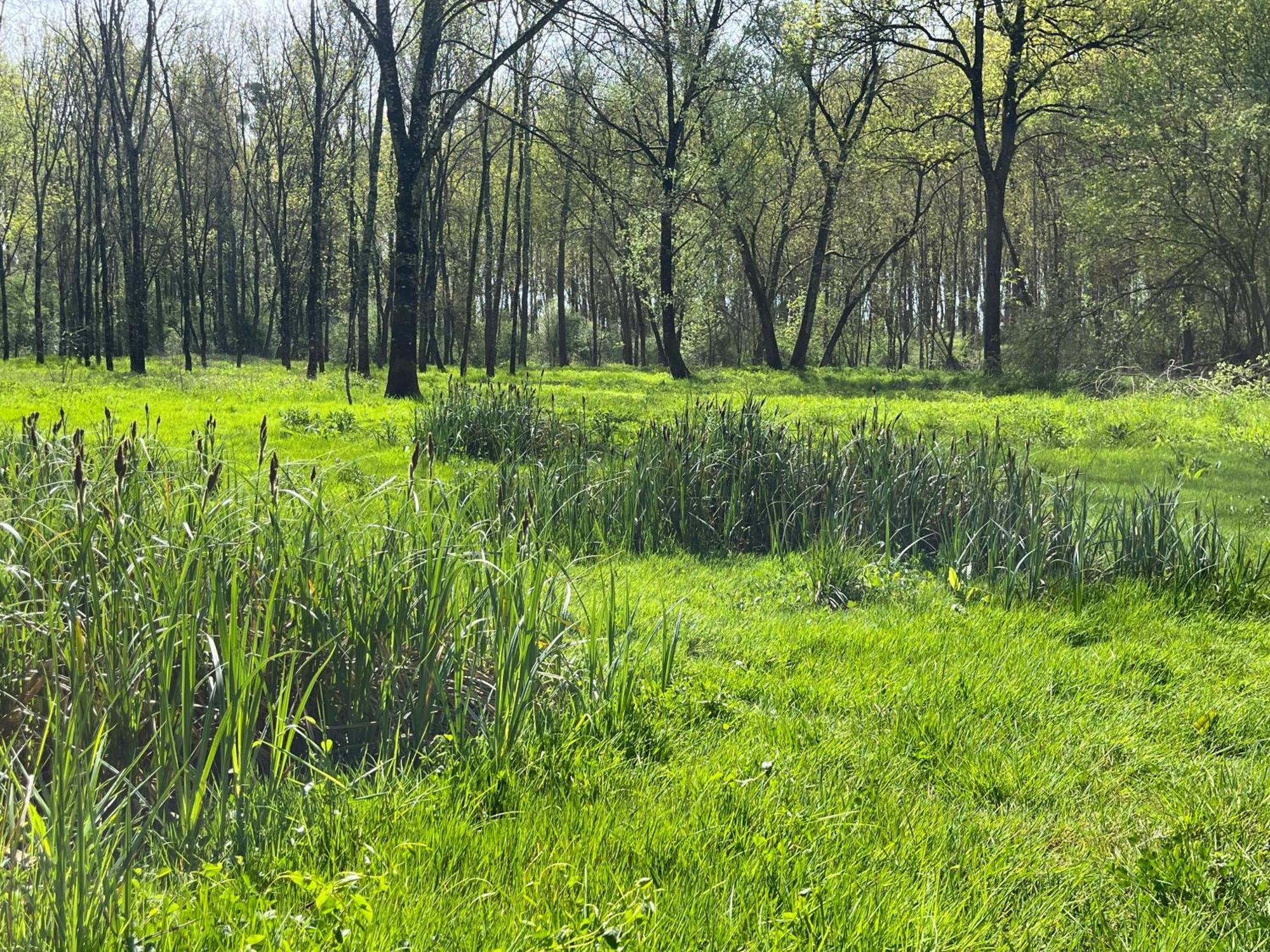 مبيت وإفطار La Vernelle Manoir Du Val Fouzon - Beauval المظهر الخارجي الصورة