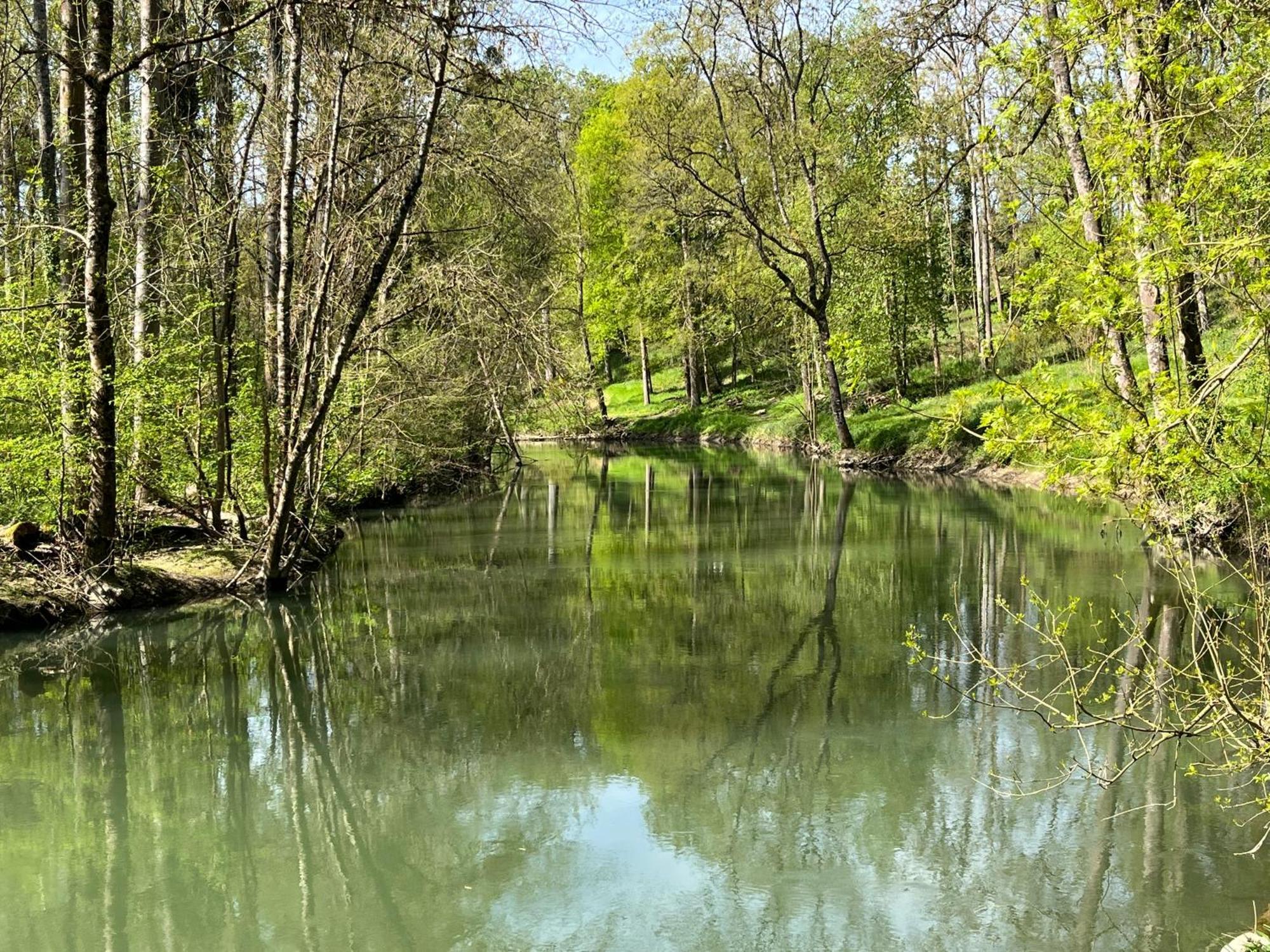 مبيت وإفطار La Vernelle Manoir Du Val Fouzon - Beauval المظهر الخارجي الصورة