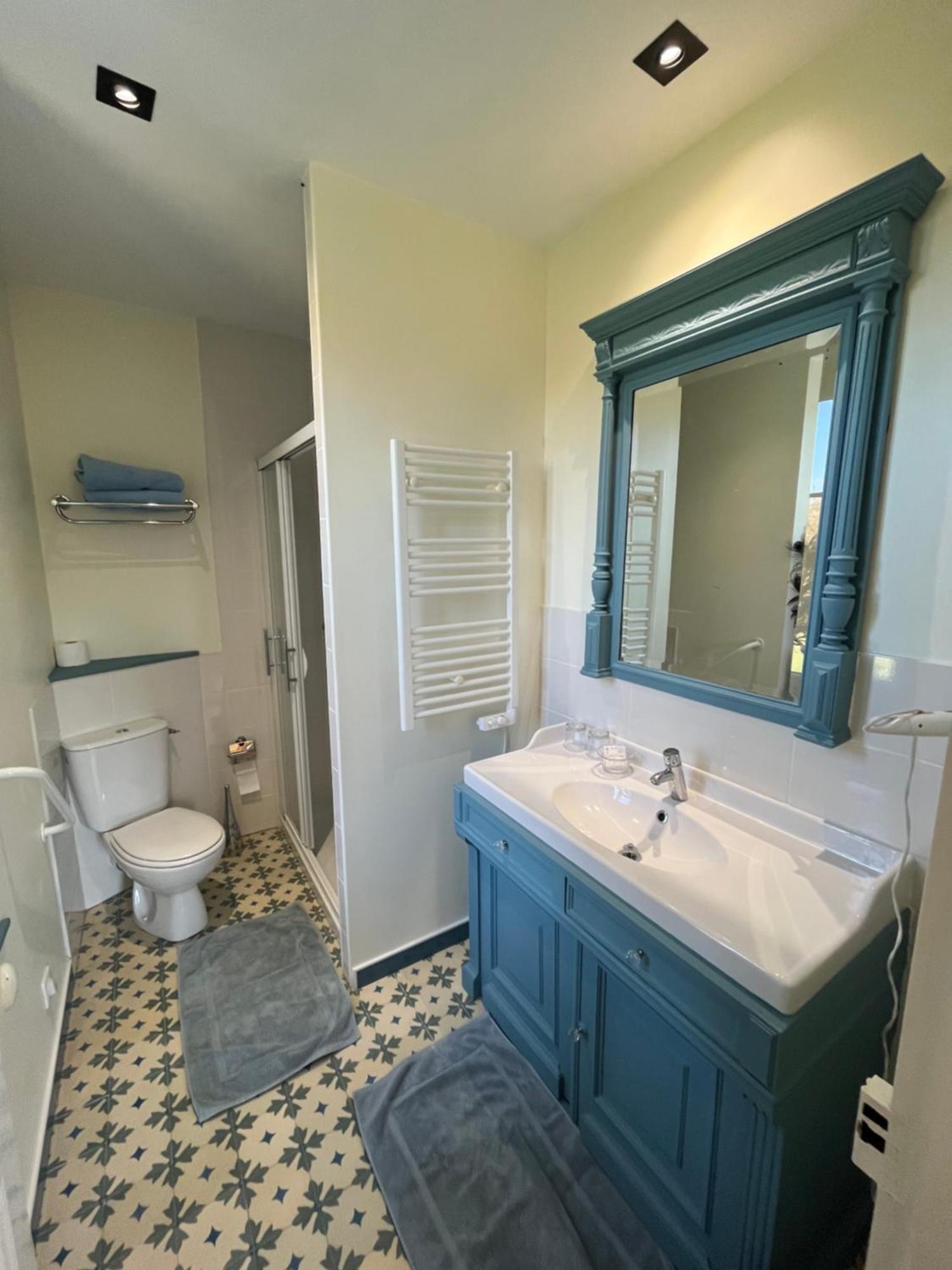 مبيت وإفطار La Vernelle Manoir Du Val Fouzon - Beauval المظهر الخارجي الصورة